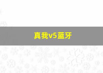 真我v5蓝牙