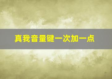 真我音量键一次加一点