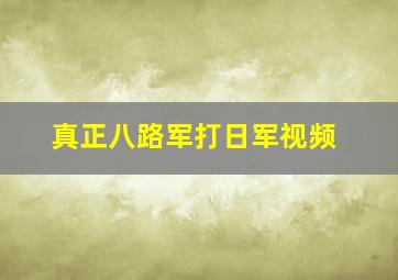 真正八路军打日军视频