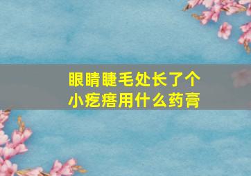 眼睛睫毛处长了个小疙瘩用什么药膏