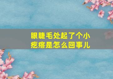 眼睫毛处起了个小疙瘩是怎么回事儿