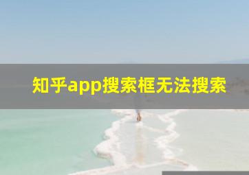 知乎app搜索框无法搜索