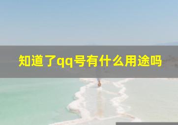 知道了qq号有什么用途吗