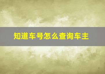 知道车号怎么查询车主