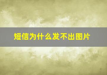 短信为什么发不出图片