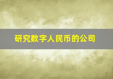 研究数字人民币的公司