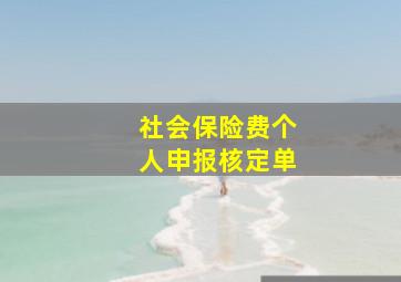 社会保险费个人申报核定单