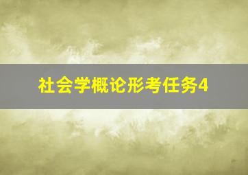 社会学概论形考任务4