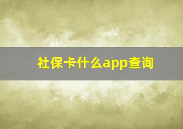 社保卡什么app查询