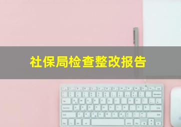 社保局检查整改报告