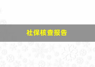 社保核查报告