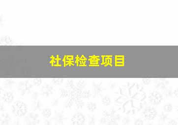 社保检查项目