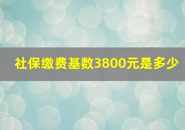 社保缴费基数3800元是多少