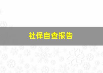 社保自查报告