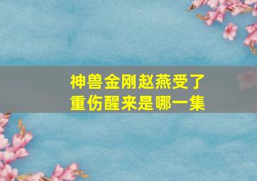 神兽金刚赵燕受了重伤醒来是哪一集