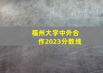 福州大学中外合作2023分数线