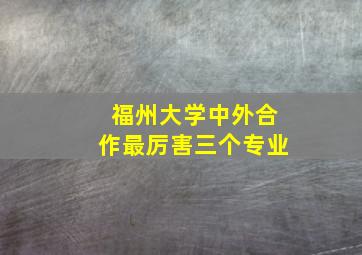 福州大学中外合作最厉害三个专业