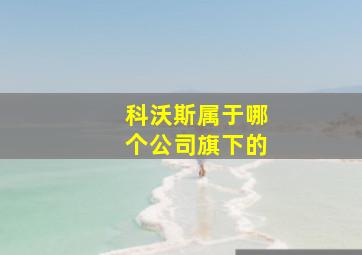 科沃斯属于哪个公司旗下的