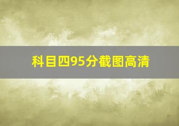 科目四95分截图高清