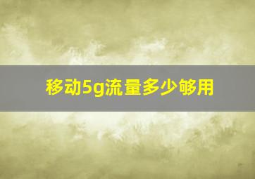 移动5g流量多少够用