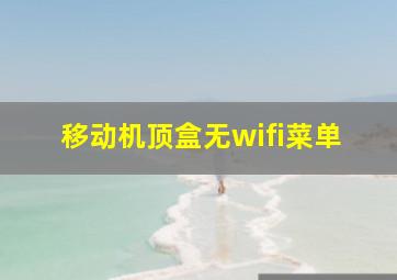 移动机顶盒无wifi菜单