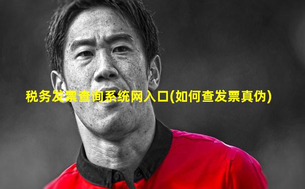 税务发票查询系统网入口(如何查发票真伪)