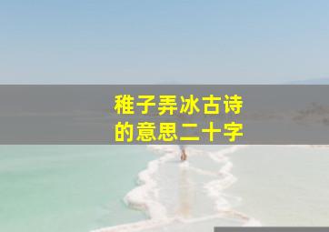 稚子弄冰古诗的意思二十字