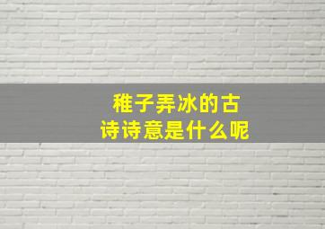 稚子弄冰的古诗诗意是什么呢