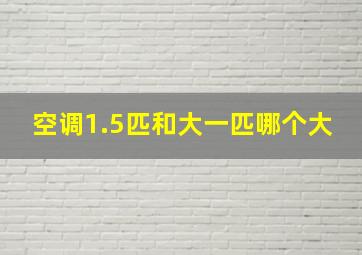 空调1.5匹和大一匹哪个大