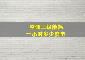 空调三级能耗一小时多少度电