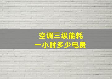 空调三级能耗一小时多少电费