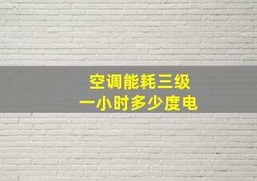 空调能耗三级一小时多少度电