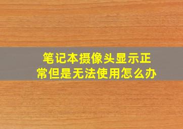 笔记本摄像头显示正常但是无法使用怎么办