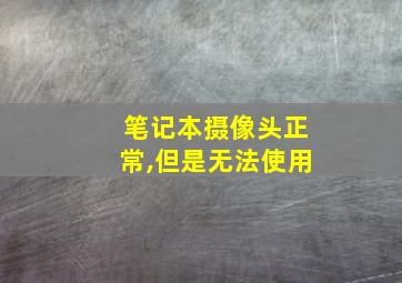 笔记本摄像头正常,但是无法使用