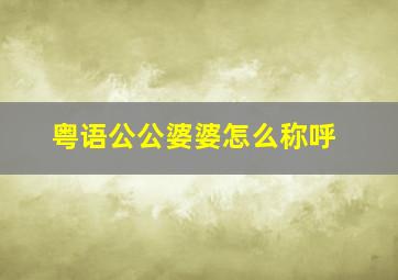 粤语公公婆婆怎么称呼