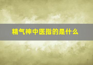 精气神中医指的是什么