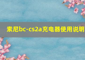 索尼bc-cs2a充电器使用说明