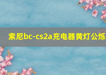 索尼bc-cs2a充电器黄灯公烁