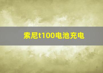 索尼t100电池充电