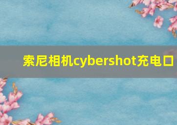 索尼相机cybershot充电口