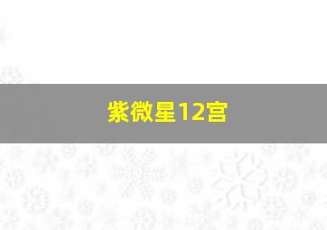 紫微星12宫