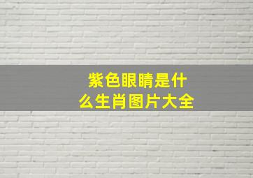 紫色眼睛是什么生肖图片大全