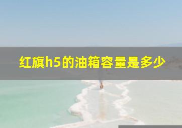 红旗h5的油箱容量是多少