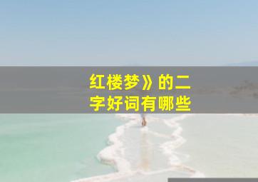 红楼梦》的二字好词有哪些