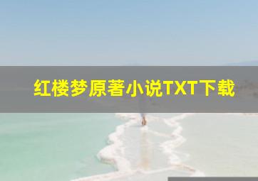 红楼梦原著小说TXT下载