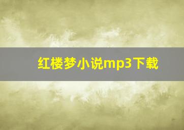 红楼梦小说mp3下载