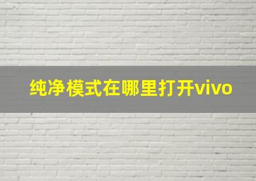 纯净模式在哪里打开vivo