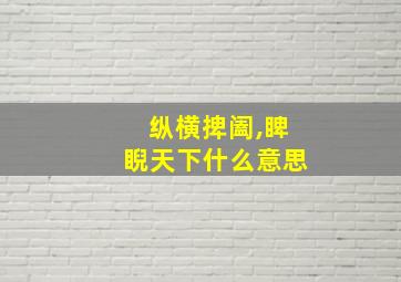 纵横捭阖,睥睨天下什么意思