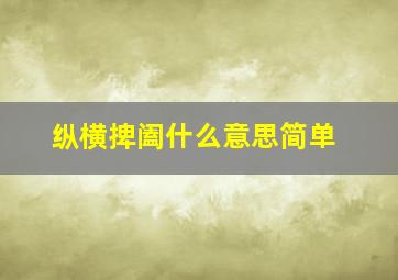 纵横捭阖什么意思简单