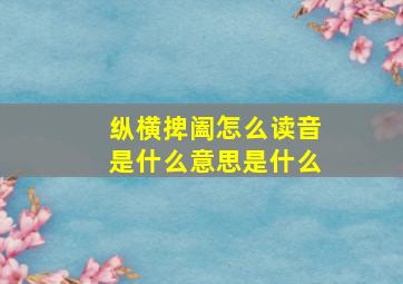 纵横捭阖怎么读音是什么意思是什么